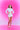 Bratz Dolled Rhinestone Crop Zipper - BonkersCorner