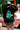 B-On-Curb Sweatshirt - BonkersCorner