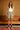 Muted Mint Lounge Shorts - BonkersCorner