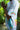 Stitch D100 Oversized T-shirt - BonkersCorner